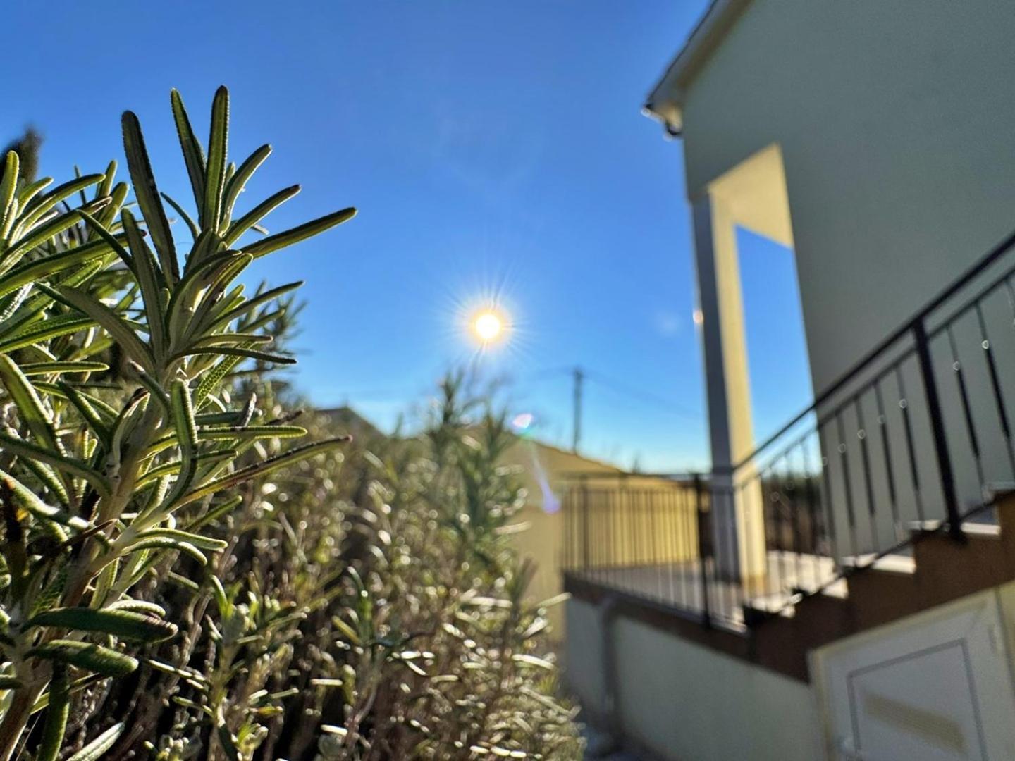 מאלינסקה Apartments Pavle מראה חיצוני תמונה